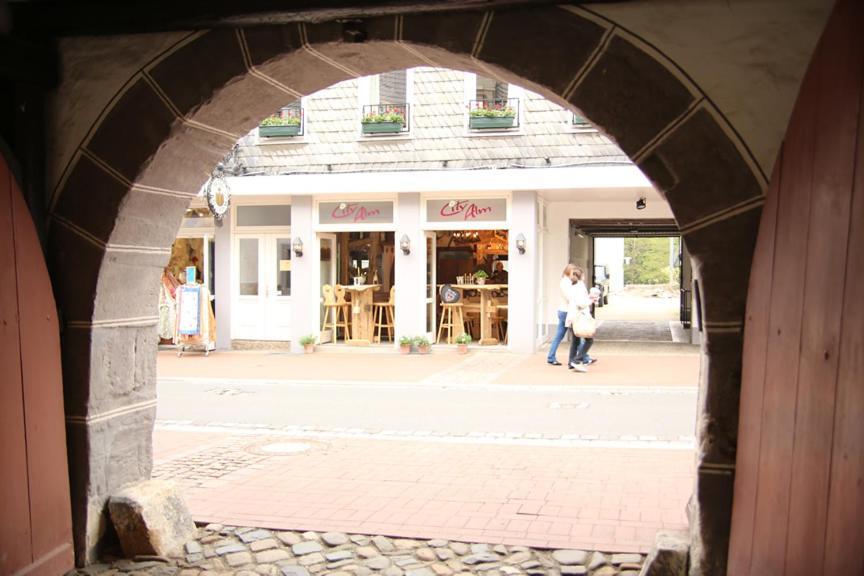 Hotel Garni Kaiserpfalz Goslar Zewnętrze zdjęcie